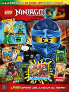 LEGO Ninjago 25