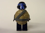 The back of Leonardo