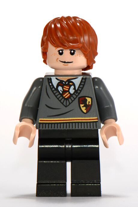 https://static.wikia.nocookie.net/lego/images/4/46/Ron2010.jpg/revision/latest/scale-to-width-down/460?cb=20110222193235