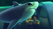 Le requin