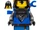 Black Falcon Guard