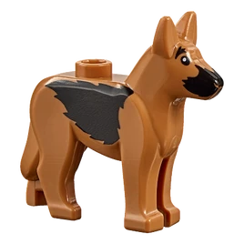Chien-60134