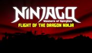 Le vol du dragon ninja