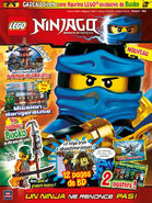 LEGO Ninjago 16