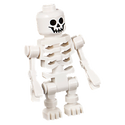 Squelette-10676