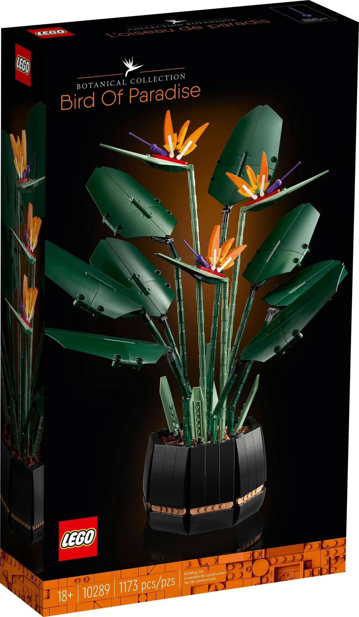 極楽鳥/Birds of Paradise 極楽鳥 -bird of paradise- (Gokurakuchou -bird of paradise