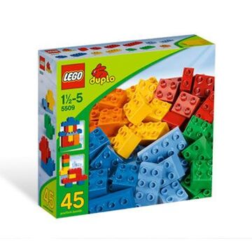 duplo basic blocks