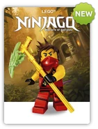 2015NinjagoLogo