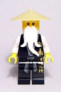 Sensei Wu