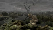 Gollum DeadMarshes.jpg (207 KB) Gollum in the Dead Marshes