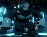 GorillaGrodd