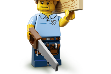 LEGO® IDEAS – LA COLLECTION D'INSECTES – Ce que pensent les hommes