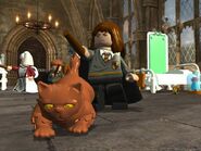 Hermione with Crookshanks in the video game