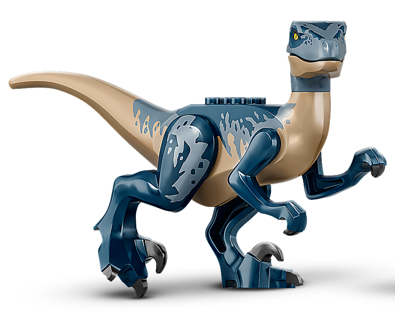 Lego jurassic world biplane rescue sale