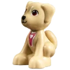 Goldie (Friends 2021)
