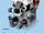 40240 Raccoon