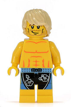 Surfer Brickipedia Fandom