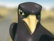 "Zane, I know where you come from."