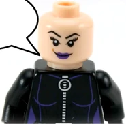 Catwoman 2012 mask off.png (294 KB) The backside of 2012 Catwoman's head.