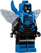 Blue Beetle Physical