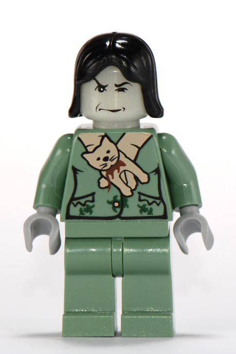 Harry Potter LEGO Minifigs Vintage Basilisk Snape Phoenix 