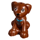 Dash with blue collar