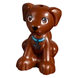 Dash with blue collar