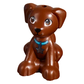 Dash with blue collar