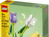 40461 Tulips
