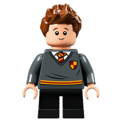 LEGO Harry Potter™76383 Poudlard: Le cours de potions, livre en brique avec  Drago Malefoy, Seamus Finnigan et le professeur Rogue