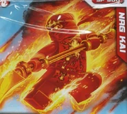 Nrg kai card.jpg (190 KB) Kai's card