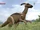 Parasaurolophus