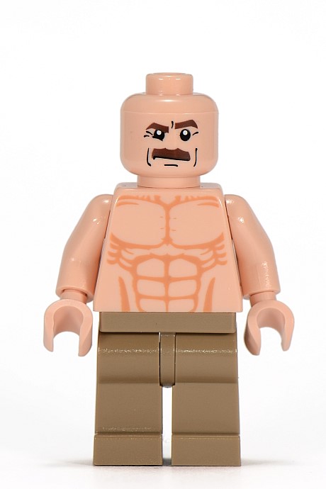 Lego indiana jones fight on the flying wing deals