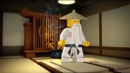 Sensei Wu