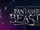 Fantastic Beasts and Where to Find Them