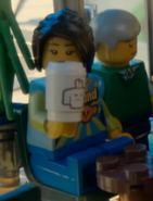 In The LEGO Movie