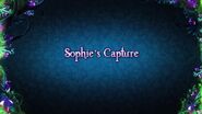 La capture de Sophie (Sophie's Capture)