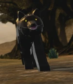 WOLFLOTR