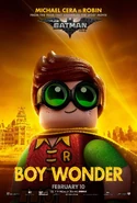 Robin character poster