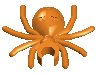 Orange spider