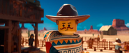 Emmet Western Disguise