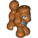 Caniche coloré (2020)
