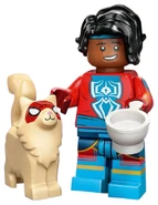 Alongside Spider-Man India