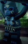 In Legends of Chima: The Animated Series