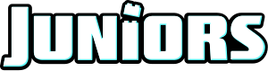 LEGO Juniors logo