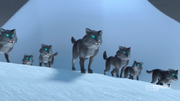 Never-Realm Wolves.png