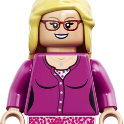 Big bang theory lego minifigures shop