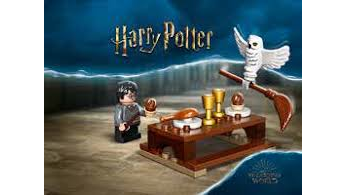 LEGO 30420 - Harry Potter et Hedwige : la livraison de la chouette