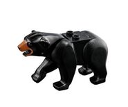 Bear Black.jpeg (13 KB) Black Bear