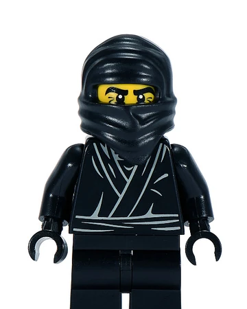 Ninja (Minifigures) | Brickipedia | Fandom